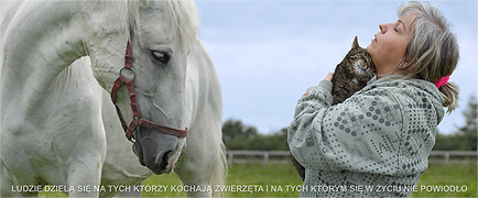 Sentence2 Highslide JS